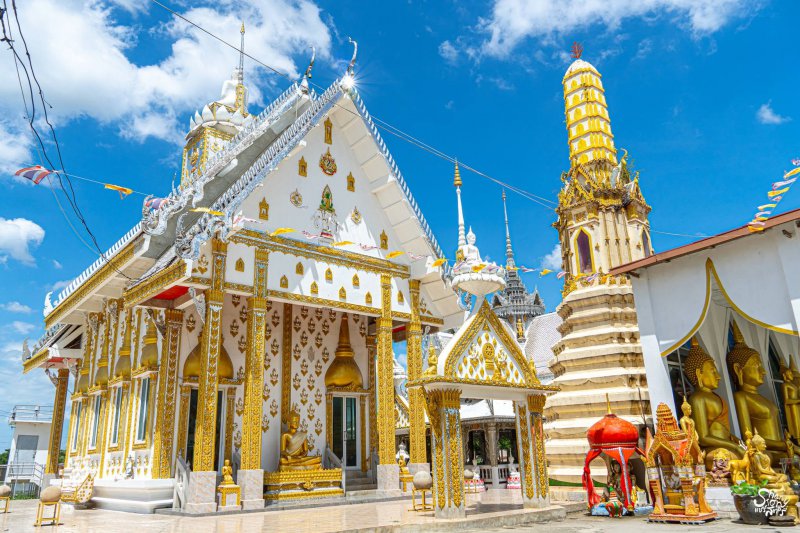 รูปภาพที่ 2