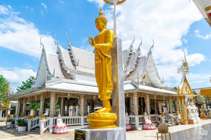รูปภาพที่ 5