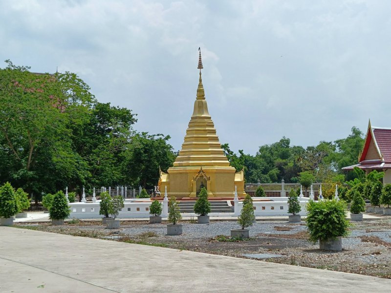 รูปภาพที่ 5