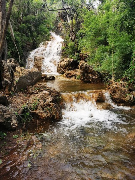 รูปภาพที่ 2