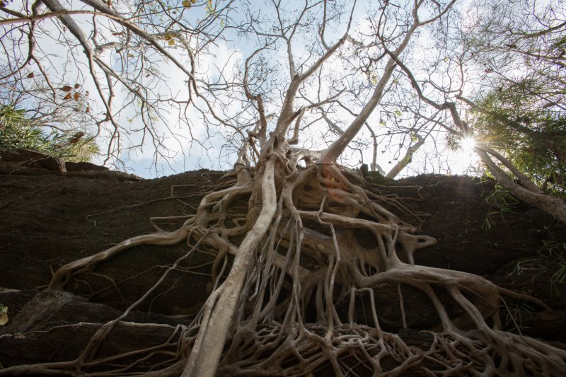 รูปภาพที่ 3