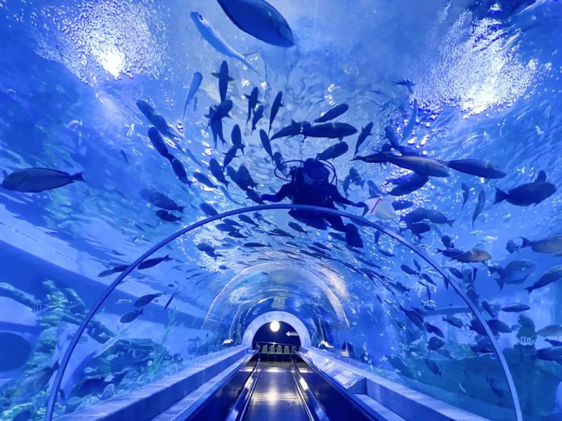 รูปภาพที่ 2