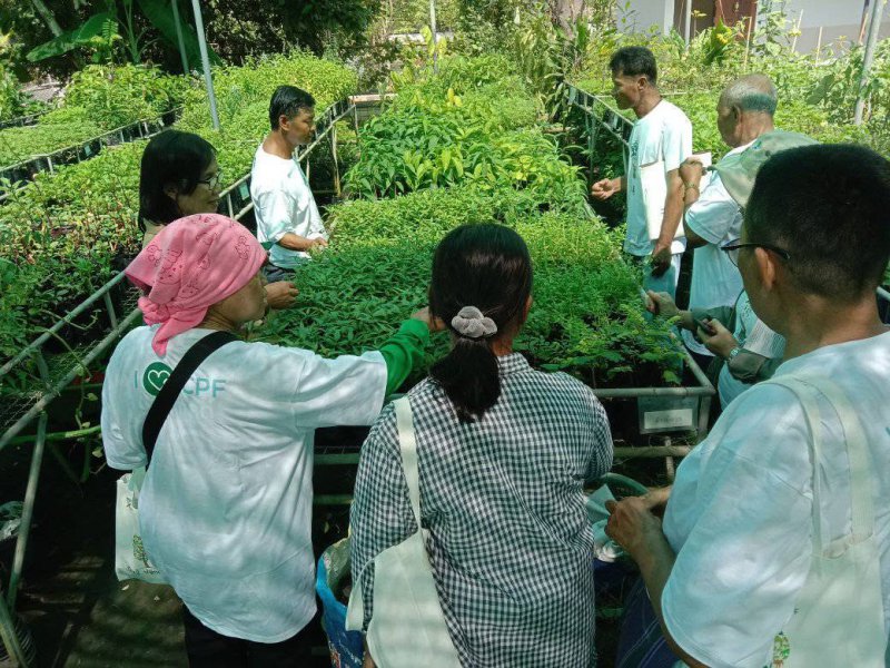 รูปภาพที่ 2