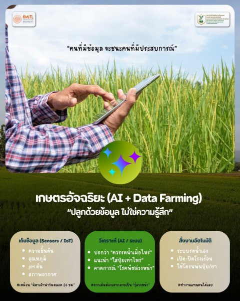 รูปภาพที่ 4