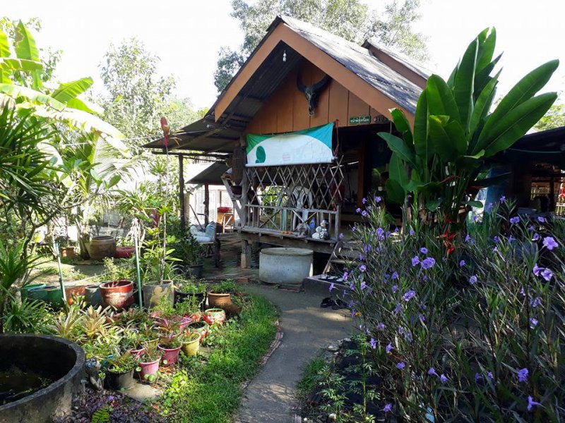 รูปภาพที่ 3