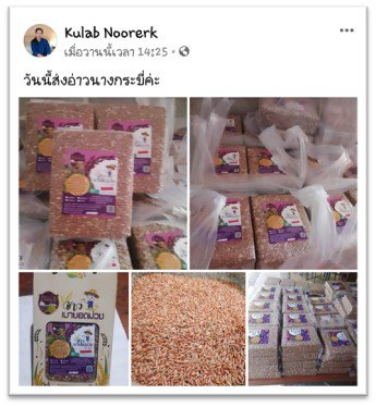 รูปภาพที่ 5