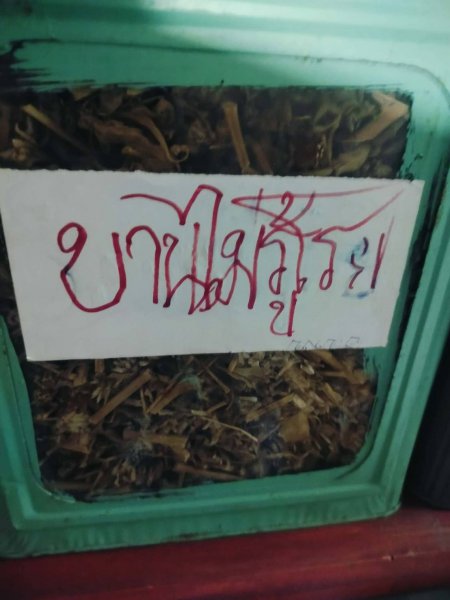 รูปภาพที่ 4
