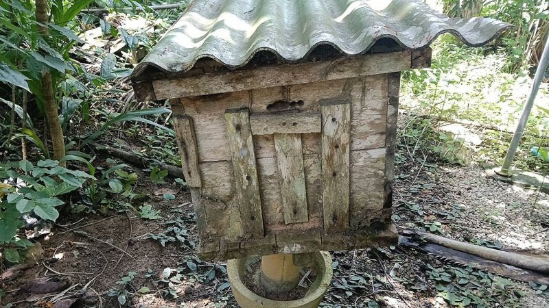รูปภาพที่ 2