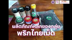 รูปภาพที่ 4