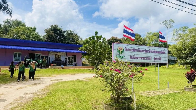 รูปภาพที่ 4