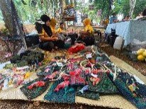 รูปภาพที่ 5