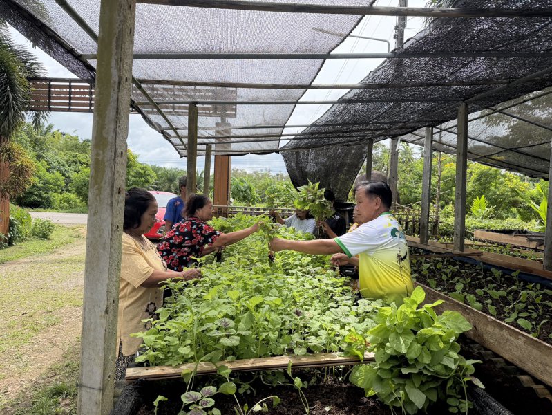รูปภาพที่ 2