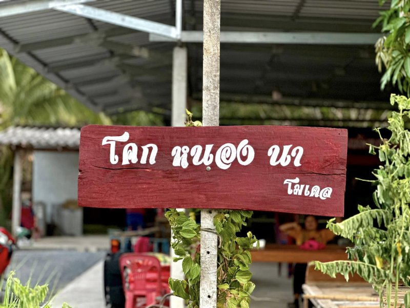 รูปภาพที่ 2