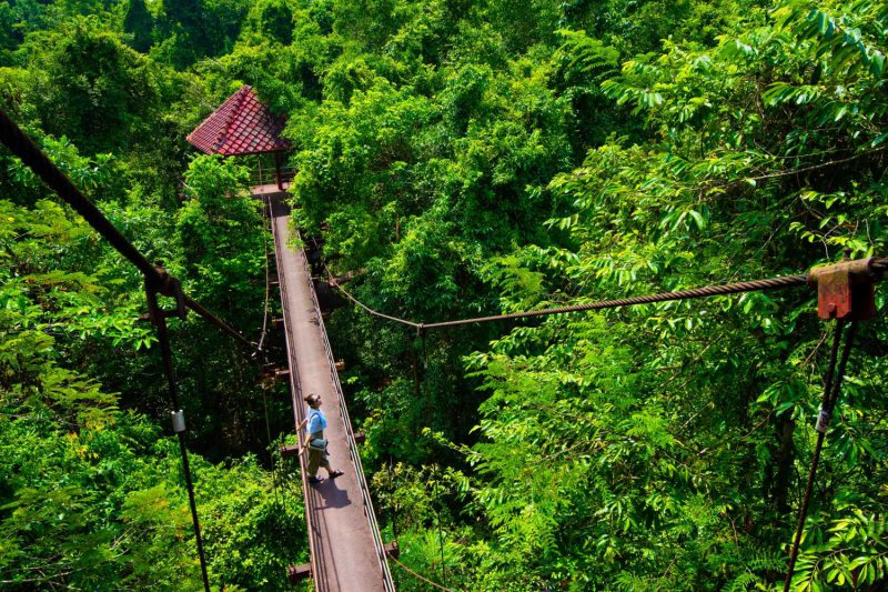 รูปภาพที่ 4