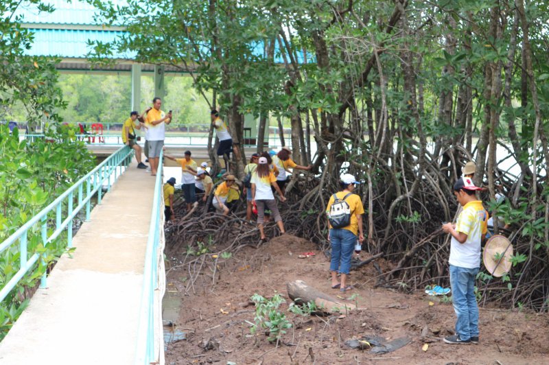 รูปภาพที่ 5