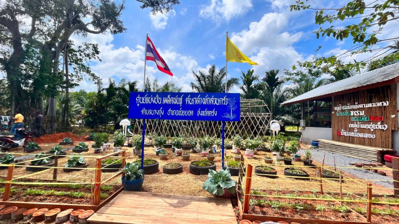 รูปภาพที่ 3