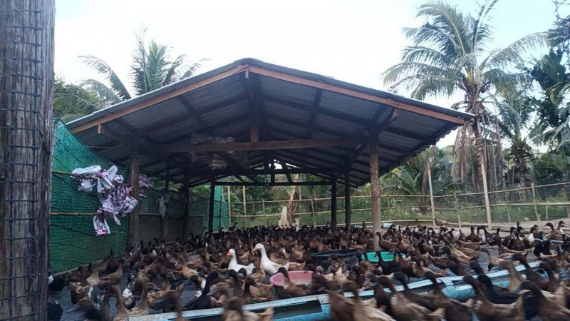 รูปภาพที่ 4