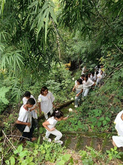 รูปภาพที่ 3