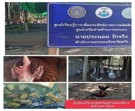 รูปภาพที่ 2