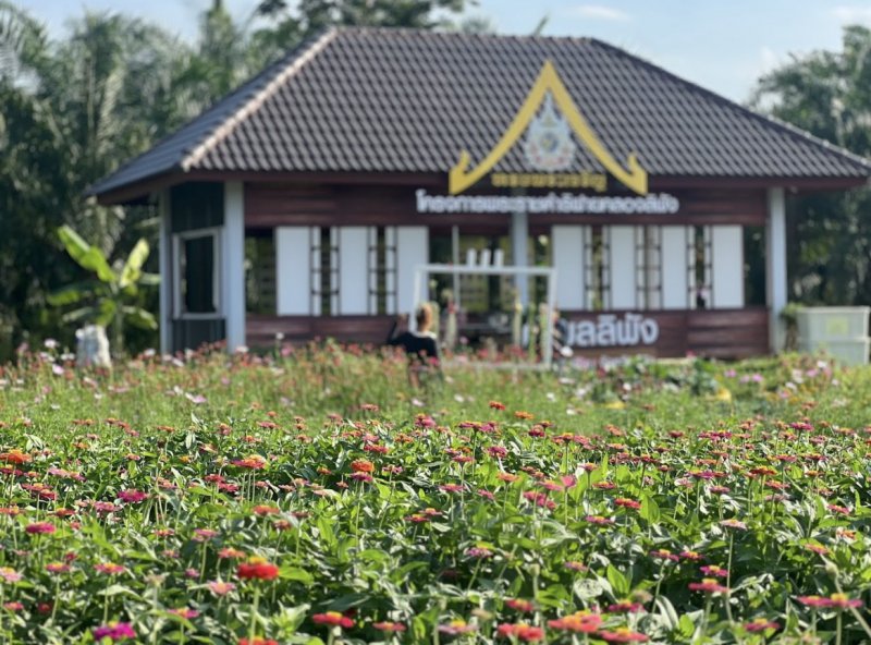 รูปภาพที่ 2