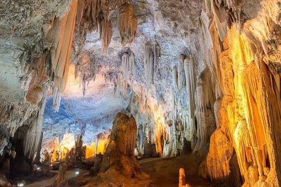 รูปภาพที่ 4