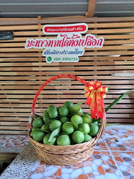 รูปภาพที่ 4