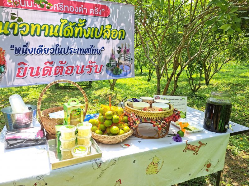 รูปภาพที่ 5