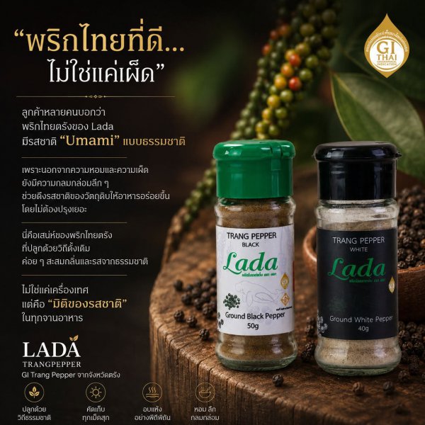 รูปภาพที่ 2