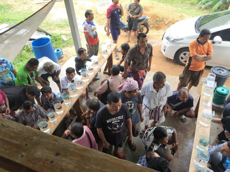 รูปภาพที่ 4
