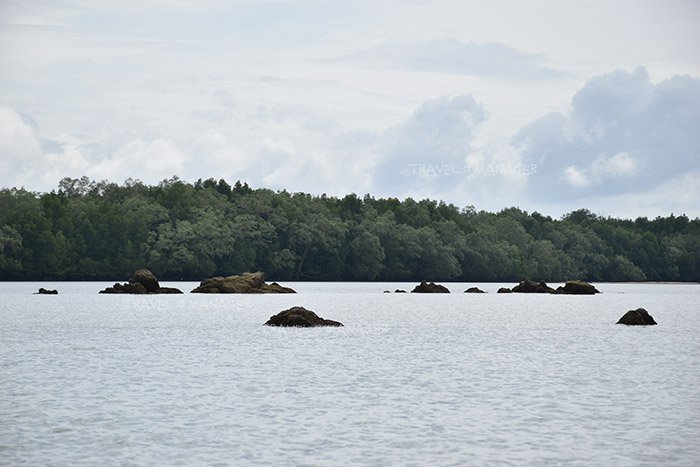 รูปภาพที่ 2
