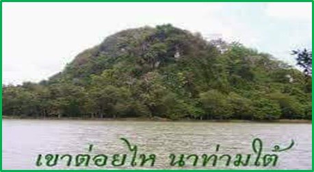 รูปภาพที่ 3