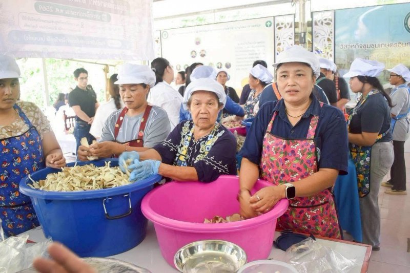รูปภาพที่ 3