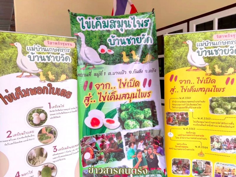 รูปภาพที่ 5