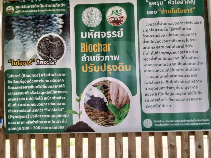 รูปภาพที่ 3