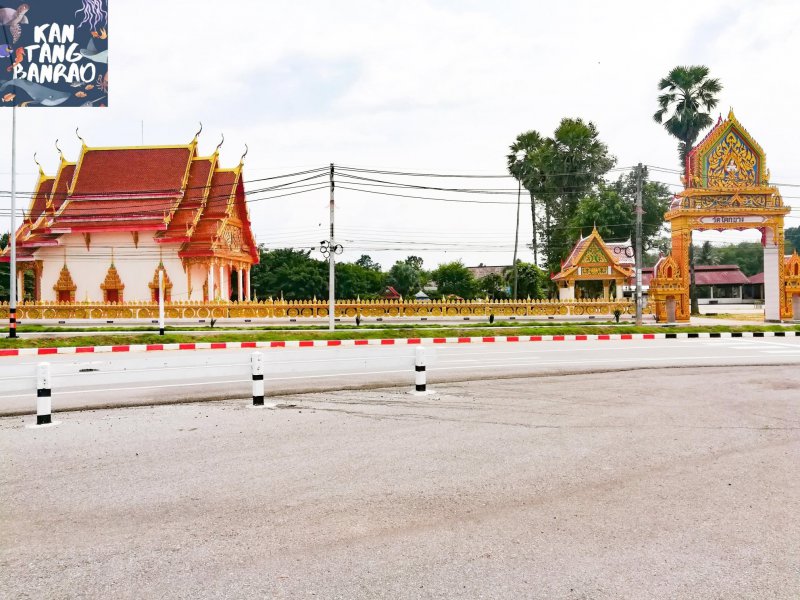 รูปภาพที่ 2
