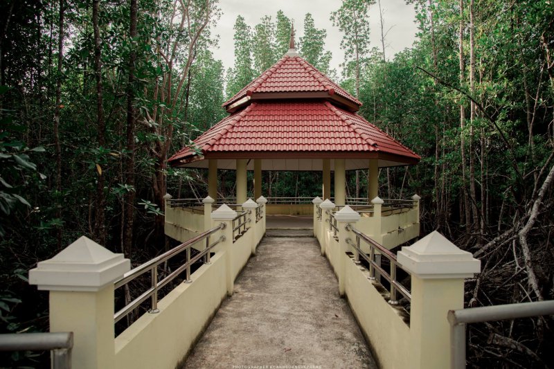 รูปภาพที่ 2