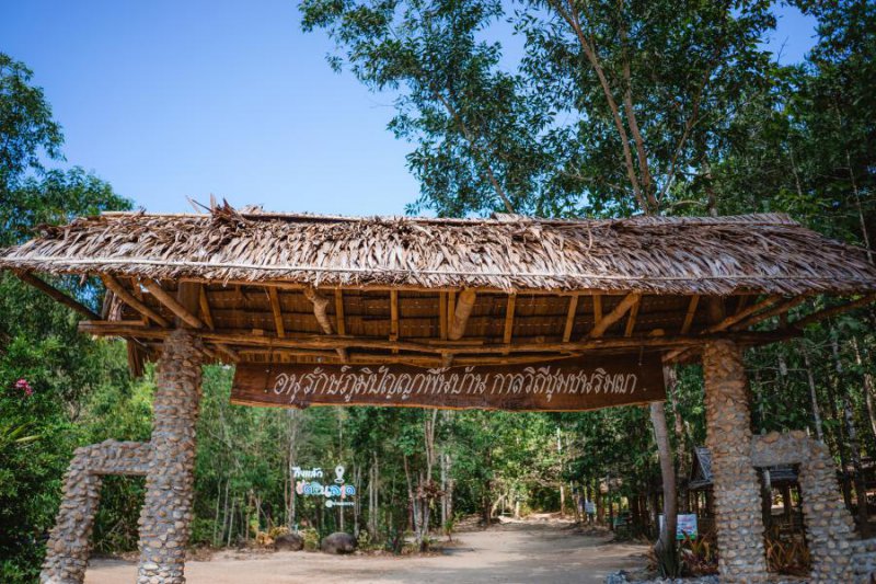 รูปภาพที่ 4