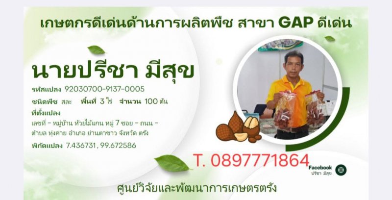 รูปภาพที่ 2