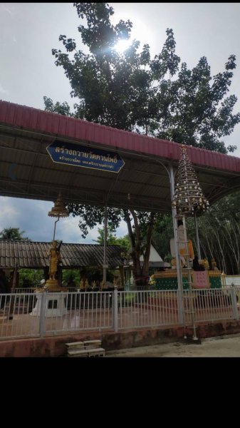 รูปภาพที่ 3