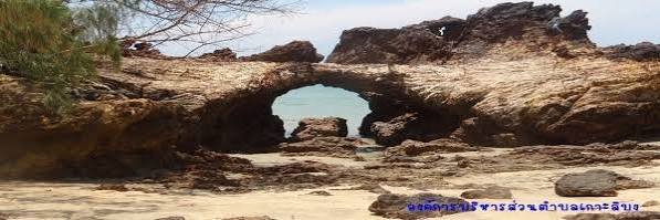 รูปภาพที่ 4