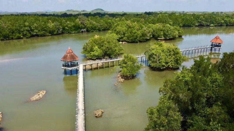 รูปภาพที่ 4