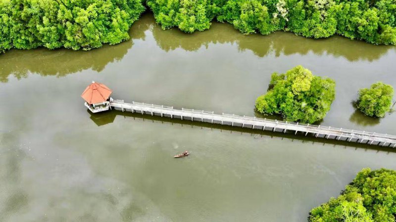 รูปภาพที่ 6