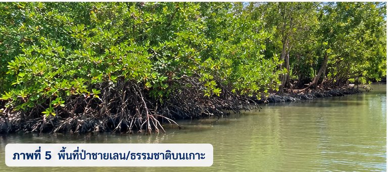 รูปภาพที่ 5