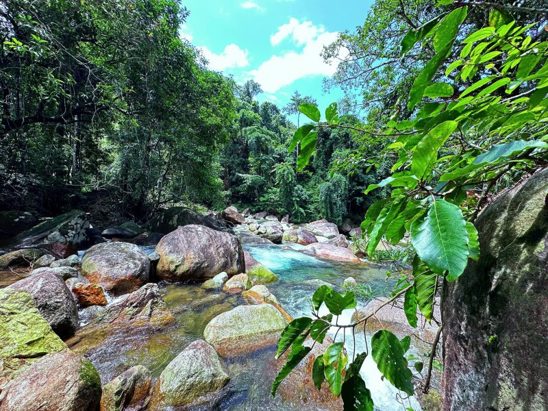 รูปภาพที่ 2