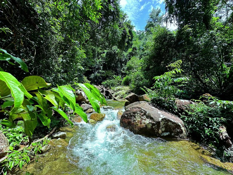 รูปภาพที่ 4