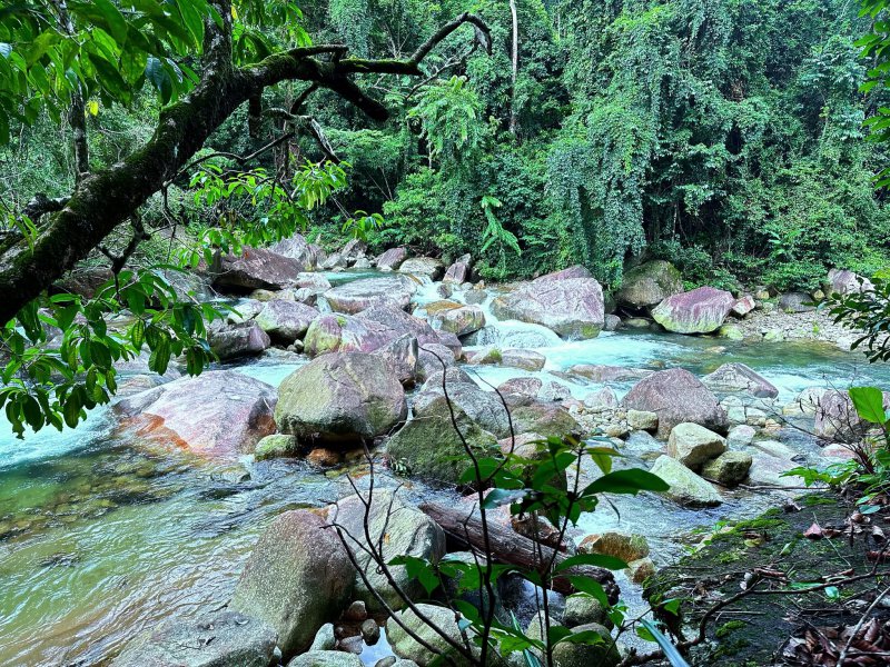รูปภาพที่ 5
