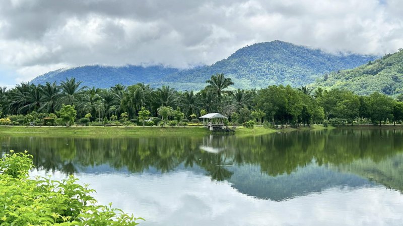 รูปภาพที่ 4