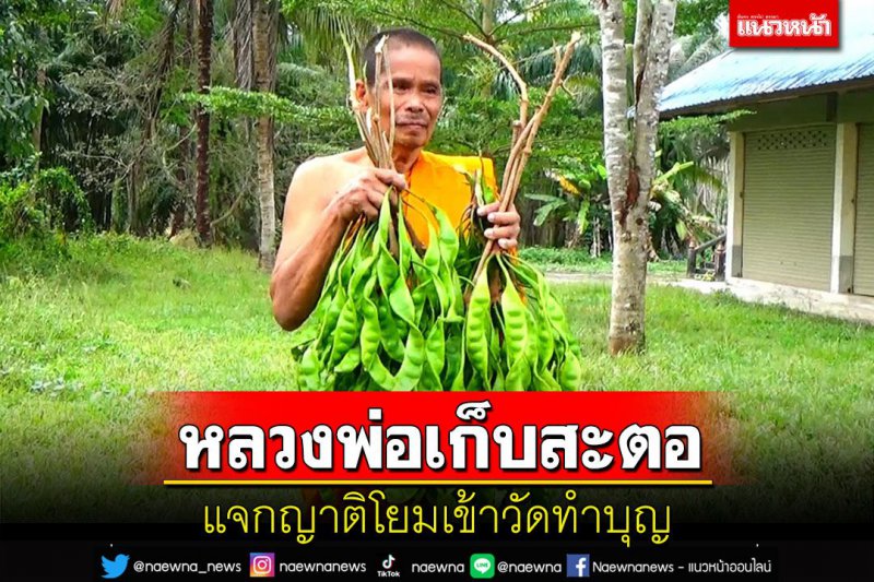 รูปภาพที่ 6
